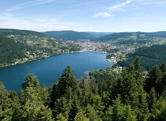 Beau Duplex A Proximite Du Lac De Gerardmer Avec Place De Parking Gérardmer Exterior foto